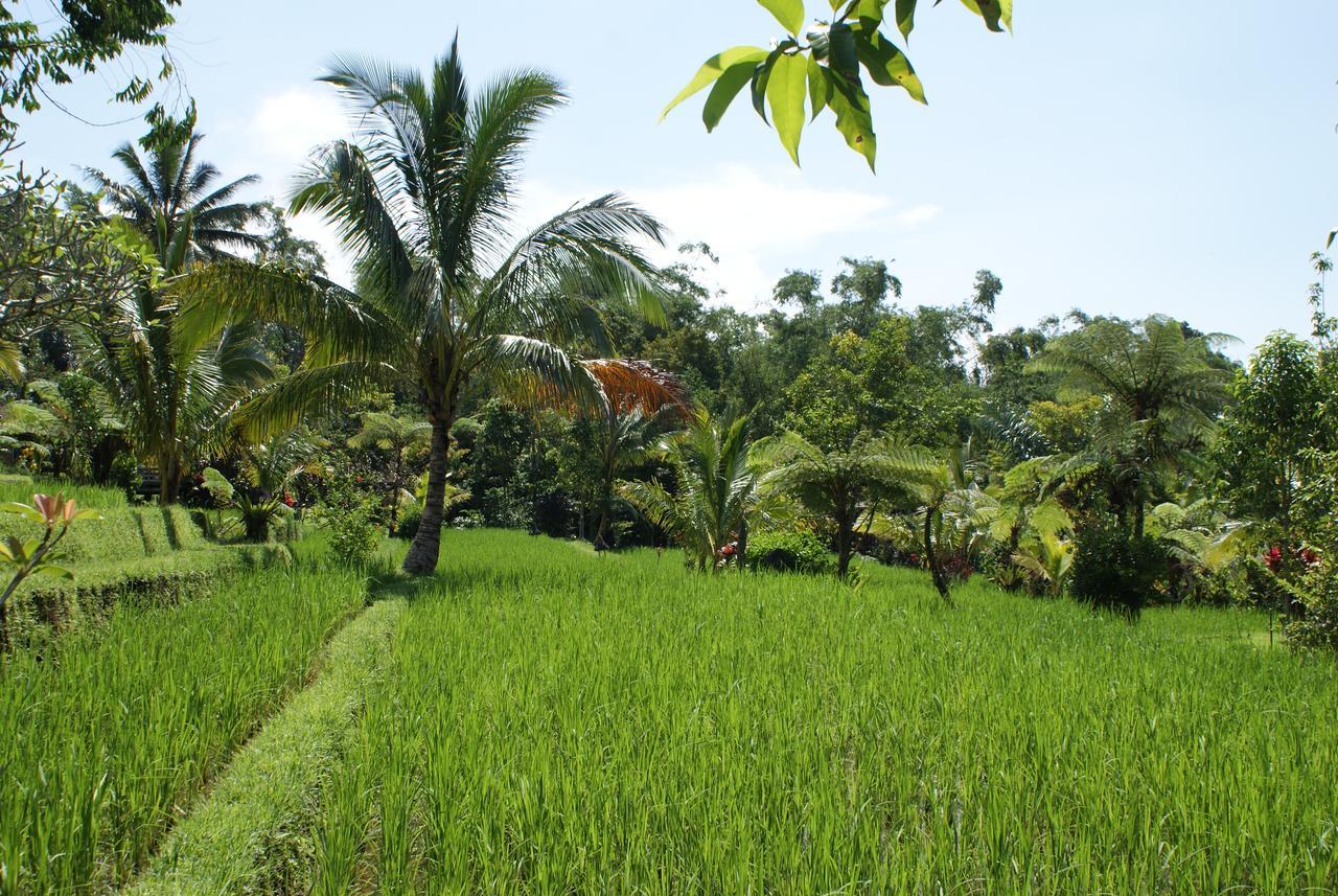 Prana Dewi Mountain Resort Jatiluwih Exterior photo